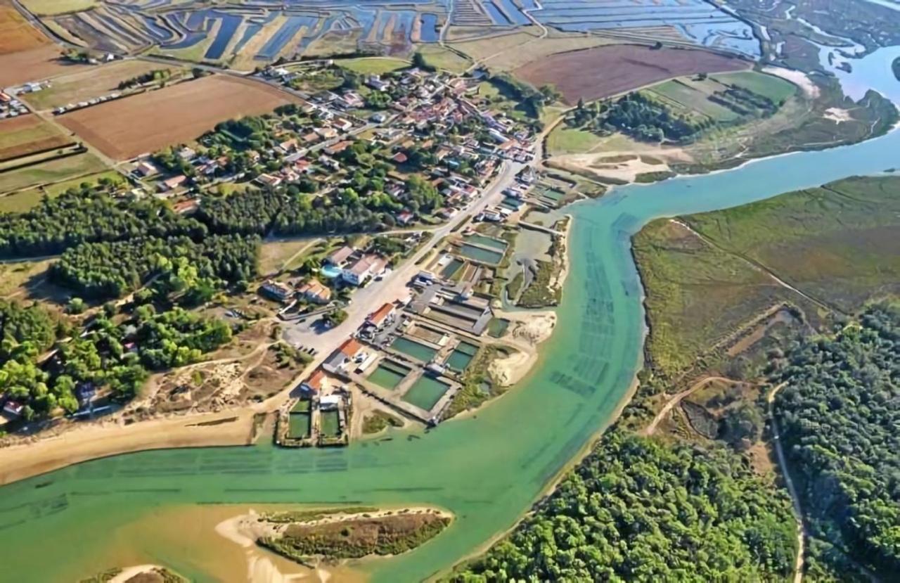 La Maisonnette Du Payre Talmont-Saint-Hilaire Zewnętrze zdjęcie
